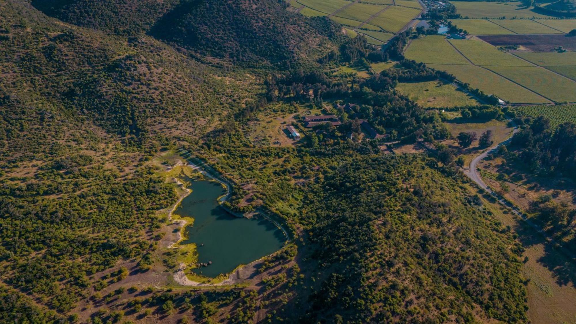 Hacienda Los Lingues Chile Valle De Colchagua Exteriör bild