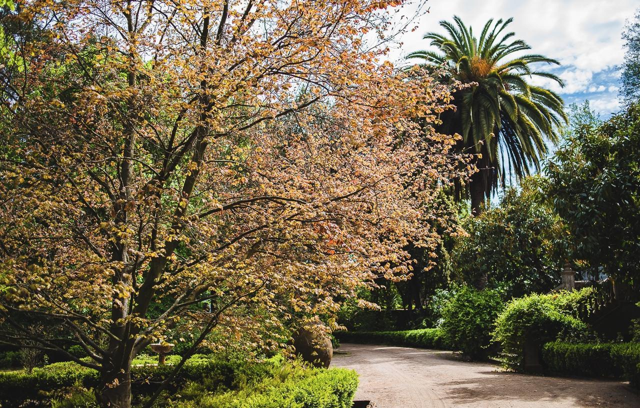 Hacienda Los Lingues Chile Valle De Colchagua Exteriör bild